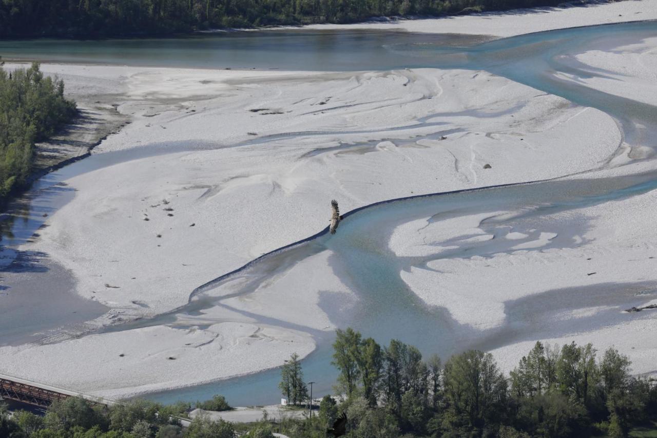 Baita Tana Da L'Ors Forgaria nel Friuli Kültér fotó