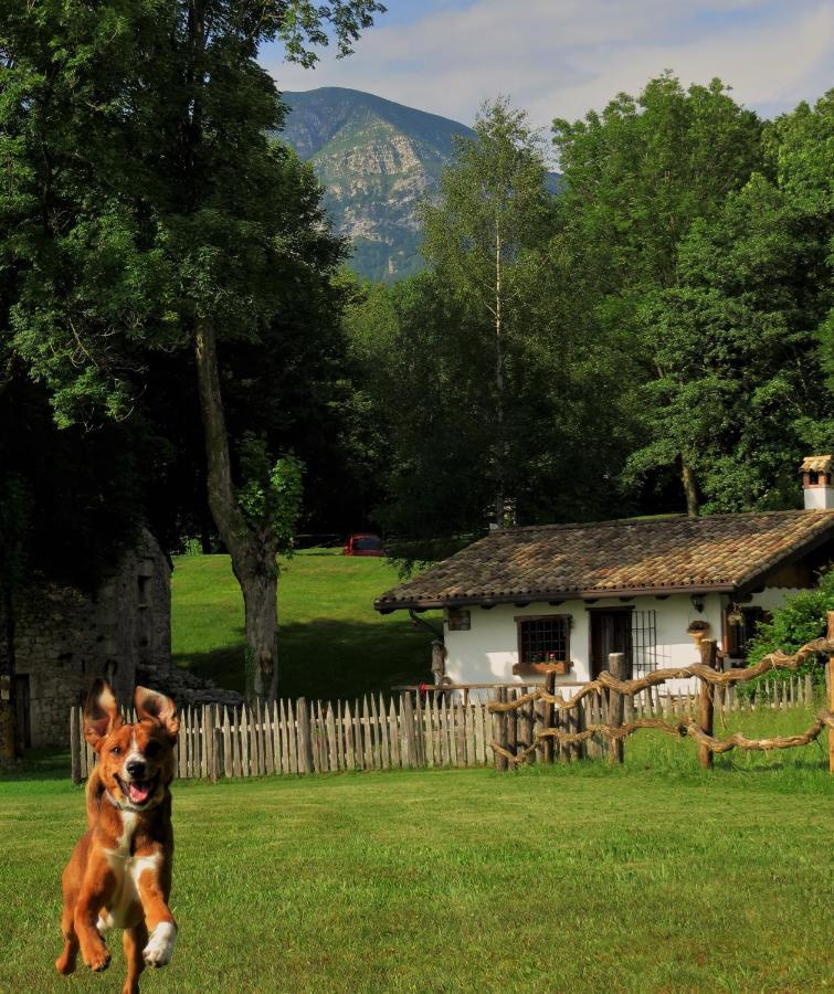 Baita Tana Da L'Ors Villa Forgaria nel Friuli Kültér fotó