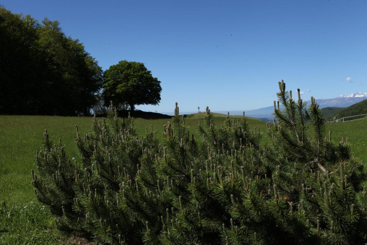 Baita Tana Da L'Ors Villa Forgaria nel Friuli Kültér fotó