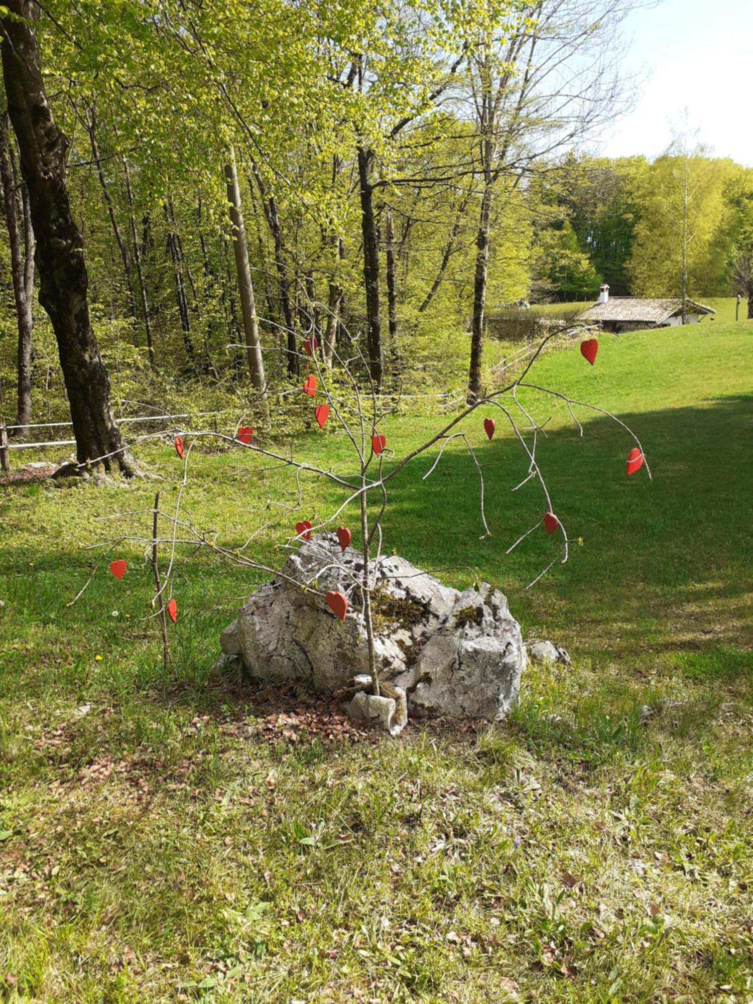 Baita Tana Da L'Ors Villa Forgaria nel Friuli Szoba fotó