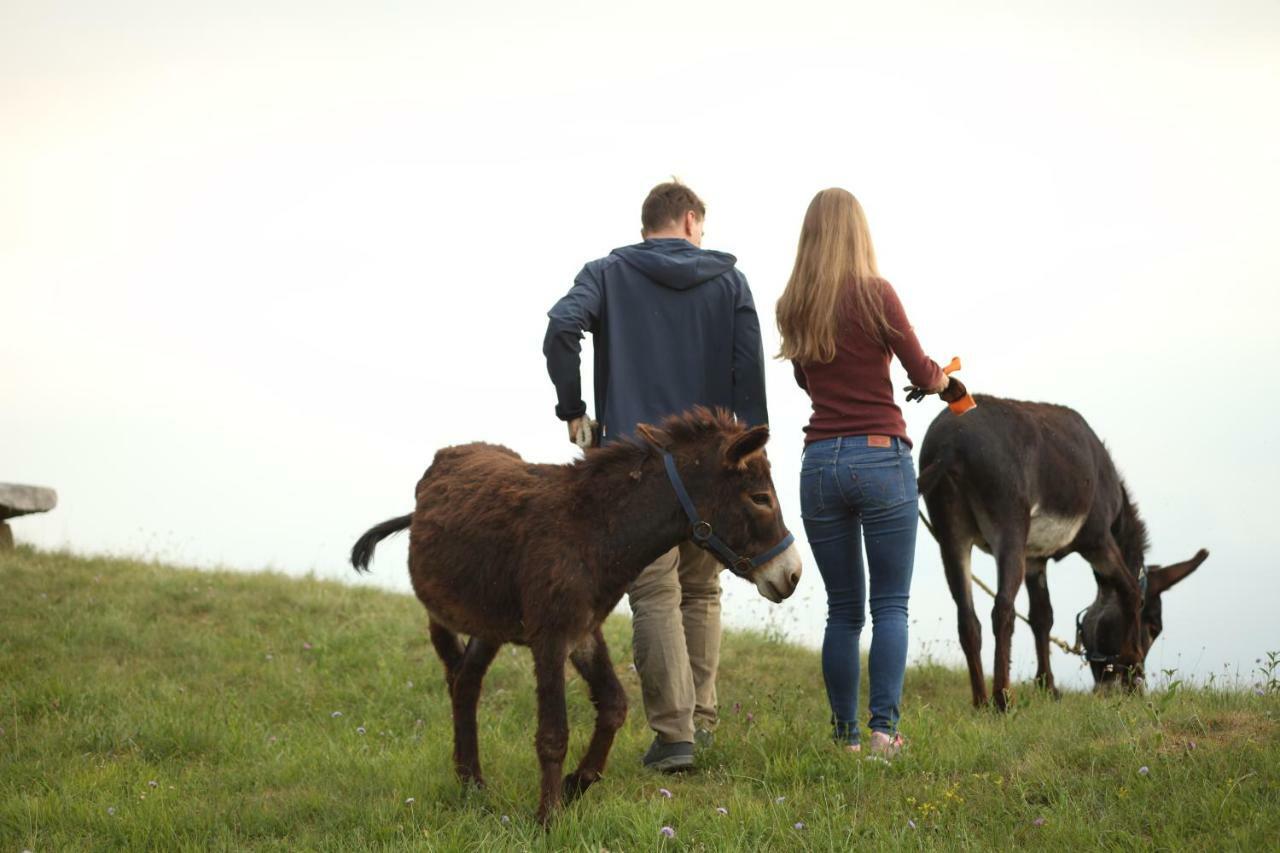 Baita Tana Da L'Ors Villa Forgaria nel Friuli Kültér fotó